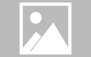 吉林制作网站发布信息（网站如何发布信息）